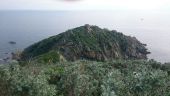 Point d'intérêt La Croix-Valmer - Cap Lardier - Photo 1