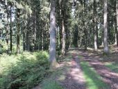 POI Florenville - Chemin forestier - Photo 1