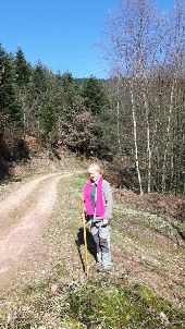 Point d'intérêt Moyenmoutier - Point 1 - Carrefour du chemin de ronde  - Photo 1