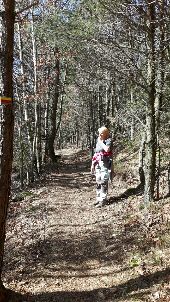 POI Moyenmoutier - Point 2 - Montée vers la Haute Pierre entre les deux chemins de ronde  - Photo 1