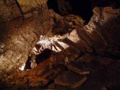 Point d'intérêt Rochefort - Grotte de Lorette- Rochefort - Photo 3