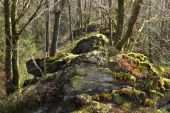 Point d'intérêt Herbeumont - Entre pierre et nature - Photo 1
