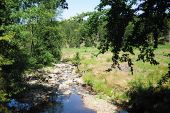 Point d'intérêt Baelen - 1 – Ruisseau fagnard - Photo 1