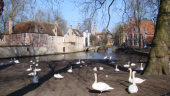 Point d'intérêt Bruges - Rozenhoedkaai (Quai du Rosaire) - Photo 16