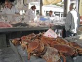 Point of interest Bruges - Vismarkt (Fish Market) - Photo 9
