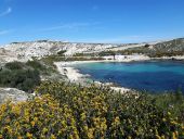 Point of interest Marseille - la calanque de Saint Esteve - Photo 1