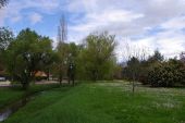 Point d'intérêt Ruffec - Arboretum - Photo 1