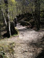 Point d'intérêt Thuès-Entre-Valls - Point 8 - Photo 1