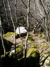 Point d'intérêt Thuès-Entre-Valls - Point 11 plusieurs abris sous de gros rochers - Photo 1