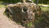 Point of interest Burtigny - pierre spéciale à mille trous - Photo 1
