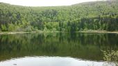 Point d'intérêt La Bresse - lac de blanchemer - Photo 1