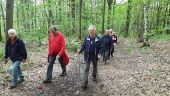 Punto di interesse Les Essarts-le-Roi - Fin de la montée - Photo 1