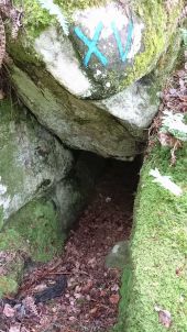 Point d'intérêt Recloses - 06 - La Grotte des 2 Chambres (XV) - Photo 1