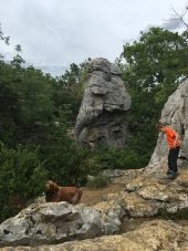 Point d'intérêt Berrias-et-Casteljau - éléphant  - Photo 1