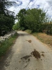 Punto di interesse Saint-Alban-Auriolles - petite route - Photo 1