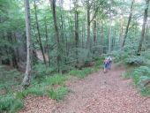 POI Castans - sentier sauvage au bord de la Clamoux - Photo 1