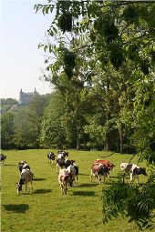 POI Rochefort - Koninklijk Kasteel in Ciergnon - Photo 1