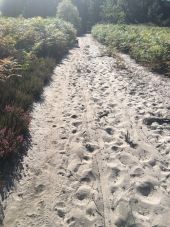 POI Canéjan - chemin de sable - Photo 1