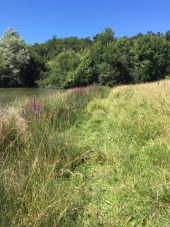 Point of interest Aillas - passer par les herbes - Photo 1