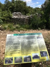 Point d'intérêt Bourg-Saint-Andéol - ruine d'une charbonnière  - Photo 1