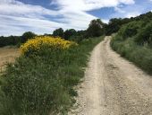 Point d'intérêt Saint-Marcel-d'Ardèche - la route se transforme en chemin de terre - Photo 1