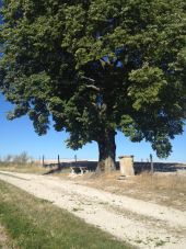 Point d'intérêt Vitry-en-Perthois - mont de fourche - Photo 1