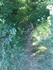 Punto de interés Vitry-en-Perthois - attention ne pas louper le petit chemin pour entrer dans le bois - Photo 1