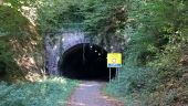 Point of interest Anhée - Tunnel de Maredsous - Photo 1