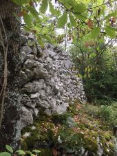 Point d'intérêt Bélesta - tumulus 6 - Photo 1