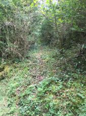 Punto de interés Bélesta - depart du sentier sous les tumulus - Photo 1