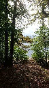 Point d'intérêt Montsauche-les-Settons - 12 - Un tour de lac très boisé - Photo 1