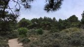 Point d'intérêt Wimereux - Les dunes de la Slack - Photo 1