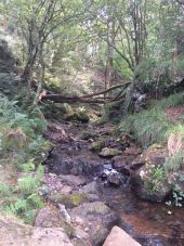 POI Irun - en haut de la cascade (passage 