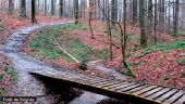 Point d'intérêt Watermael-Boitsfort - Forêt de Soignes - Photo 1