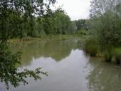 Point d'intérêt Saint-Venant - Mon étang - Photo 1