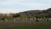 Punto di interesse Vaison-la-Romaine - Château de Vaison-la-Romaine  - Photo 1