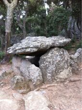 Punto de interés Argelès-sur-Mer - Dolmen de cova de l'Alarb - Photo 1
