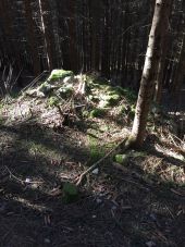 Punto de interés Fougax-et-Barrineuf - petit tumulus  - Photo 1