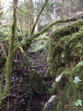 Punto de interés Fougax-et-Barrineuf - ruisseau bâti fortement - Photo 1