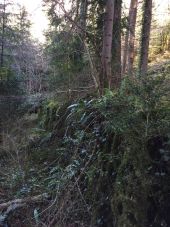 Punto de interés Fougax-et-Barrineuf - gros mur de soutènement? - Photo 1