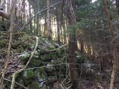 Point d'intérêt Fougax-et-Barrineuf - tumulus  - Photo 1