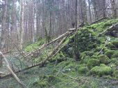 Point d'intérêt Bélesta - mur tumulus?  - Photo 1