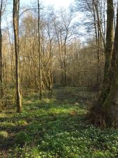 Point of interest Couvin - Sentier des chasseurs - Photo 1