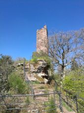 Point d'intérêt Éguelshardt - chateau du Waldeck - Photo 1