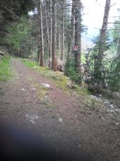 Point d'intérêt Fougax-et-Barrineuf - descente vers les mijanes - Photo 1