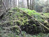 Punto de interés Fougax-et-Barrineuf - tumulus - Photo 1