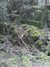 Point d'intérêt Fougax-et-Barrineuf - flanc de doline bâti - Photo 1