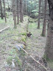 Point d'intérêt Fougax-et-Barrineuf - parcelle muree hauteur 1m longueur 40m - Photo 1