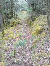 Point d'intérêt Fougax-et-Barrineuf - doline deja vue durant  une aautre randonnee - Photo 1