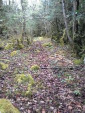 Point d'intérêt Fougax-et-Barrineuf - chemin ancien? - Photo 1